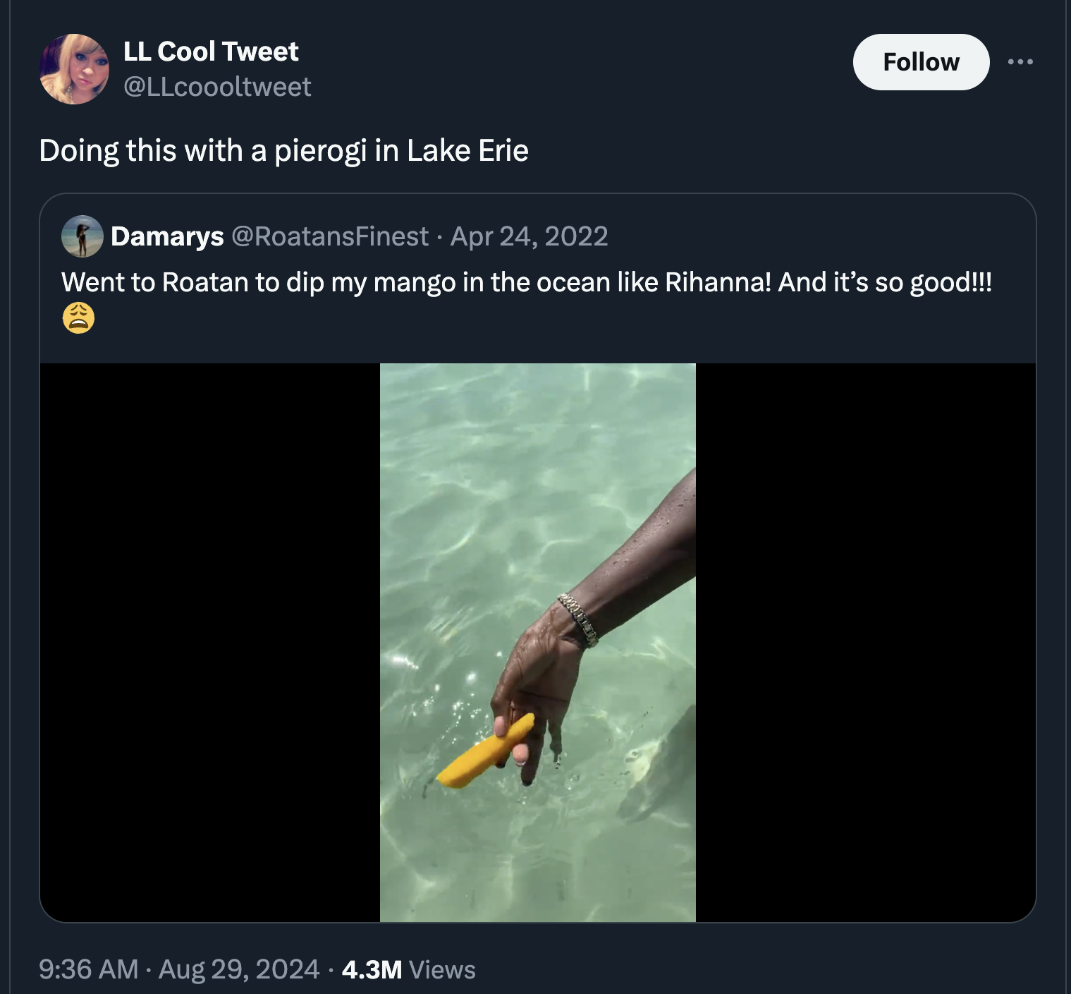 screenshot - Ll Cool Tweet Doing this with a pierogi in Lake Erie Damarys . Went to Roatan to dip my mango in the ocean Rihanna! And it's so good!!! 4.3M Views